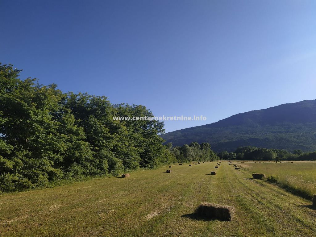 Prodaja, imanje 15.000m2, Curilac, Danilovgrad